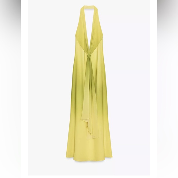 Zara Dresses & Skirts - Elegant Lime Halter Maxi Dress